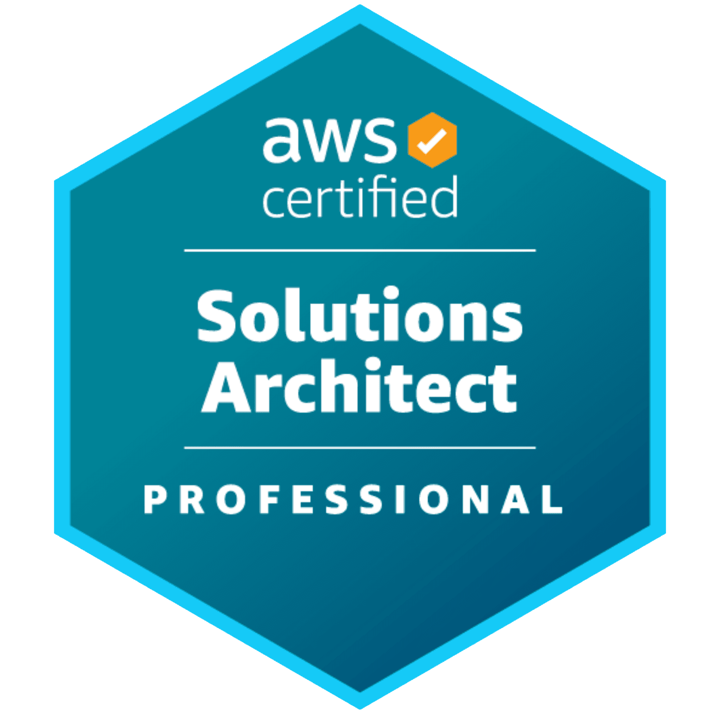 AWS Solutions Architect